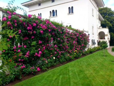 New Aqualens at Sollidens Slott