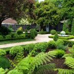 Update from Kingsbury Garden Designs