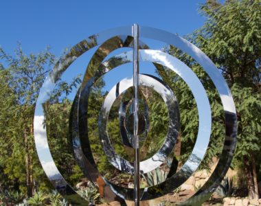 Concentric Circles in My Garden