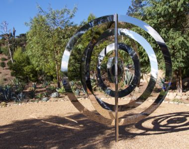 Concentric Circles in My Garden