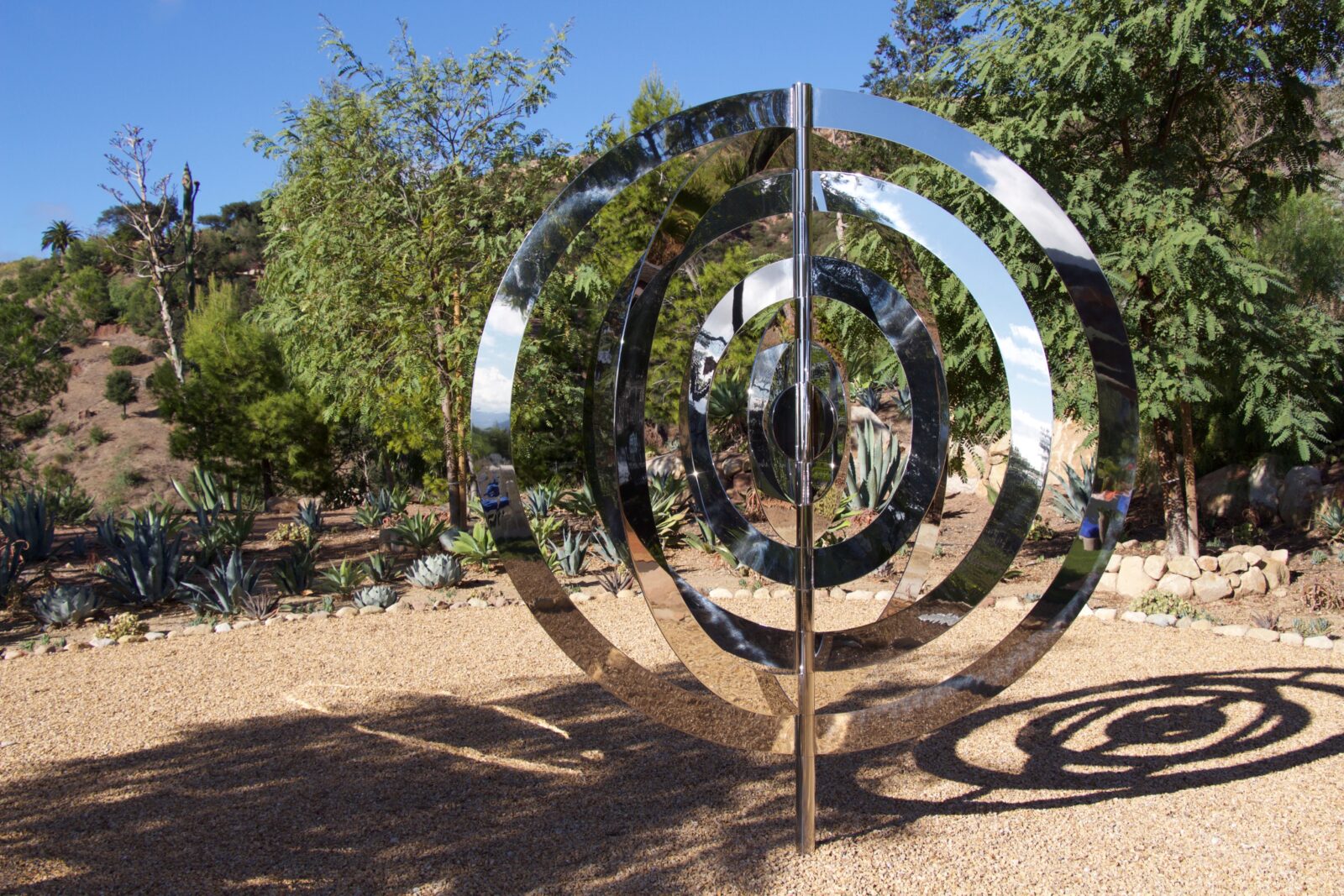 Concentric Circles in My Garden