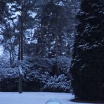 Aqualens in the Snow