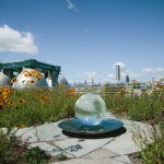 Aqualens on Rooftop Garden Habitat in Brooklyn, NY