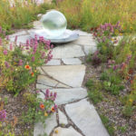 Aqualens on Rooftop Garden Habitat in Brooklyn, NY