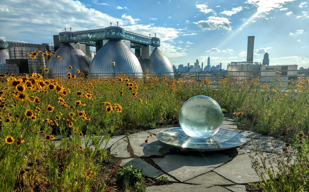 Aqualens on Rooftop Garden Habitat in Brooklyn, NY