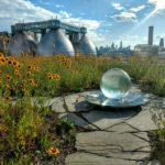 Aqualens on Rooftop Garden Habitat in Brooklyn, NY