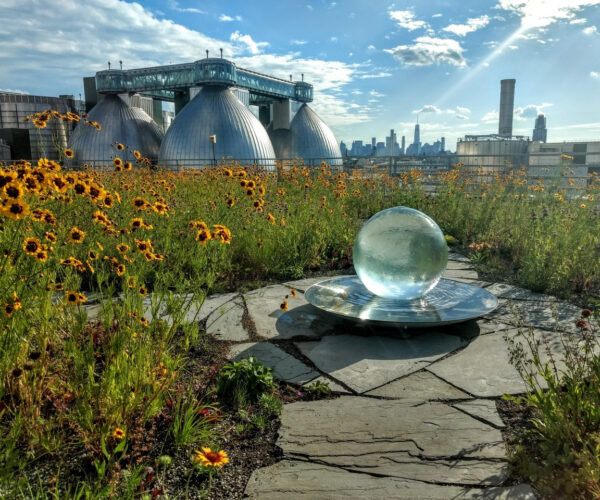 Aqualens on Rooftop Garden Habitat in Brooklyn, NY