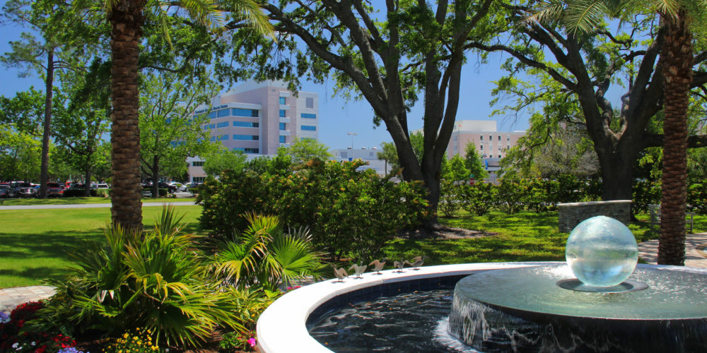 Aqualens in Healing Garden