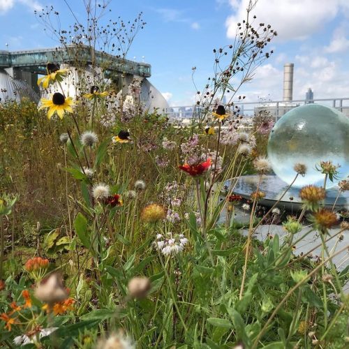 Urban Garden Sphere Fountain