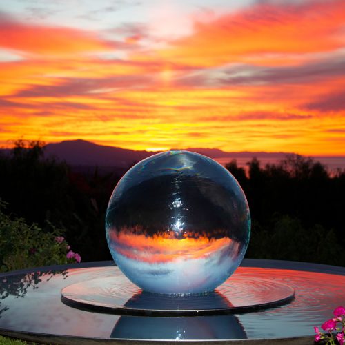 Winter Sunsets in Garden