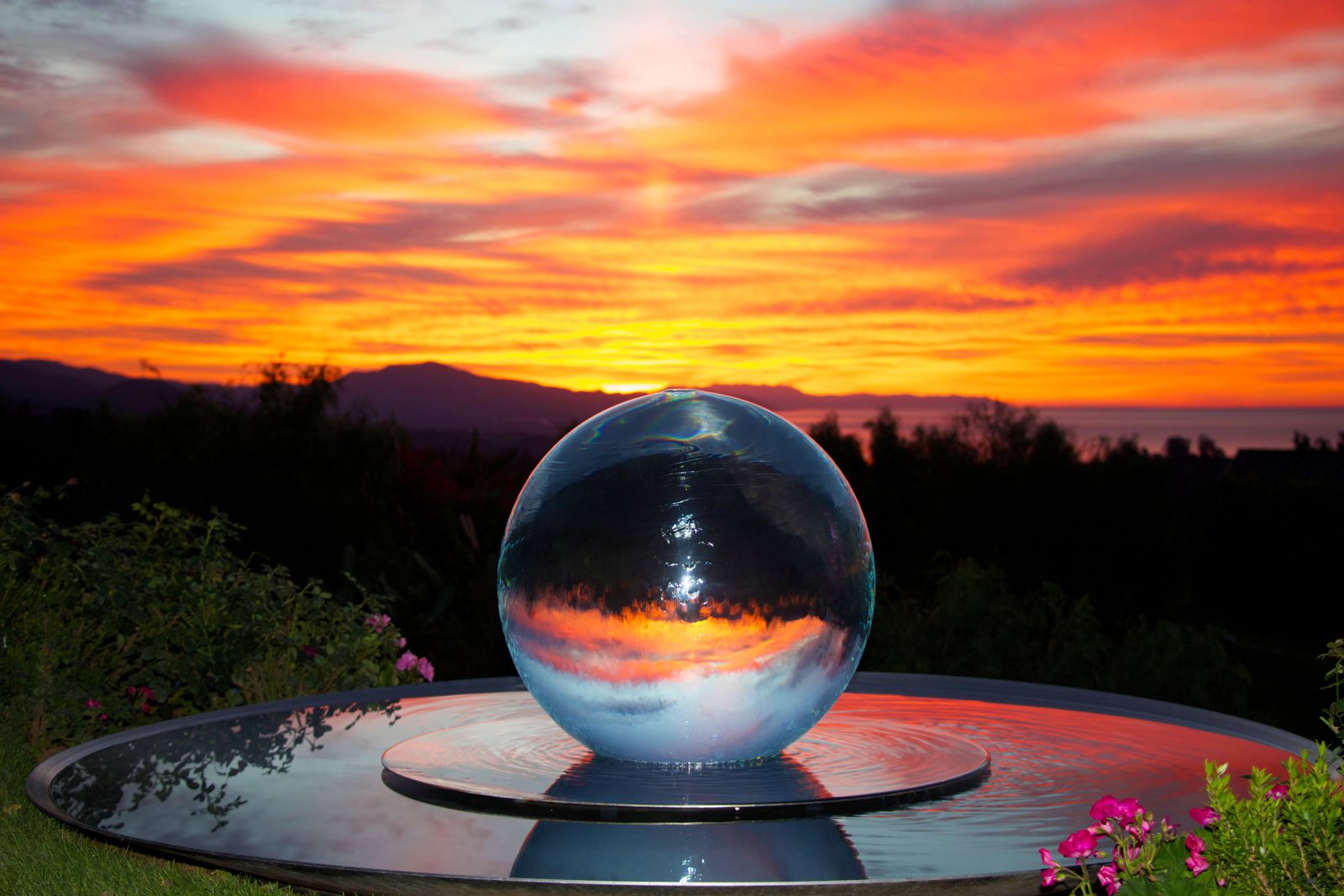 Winter Sunsets in Garden