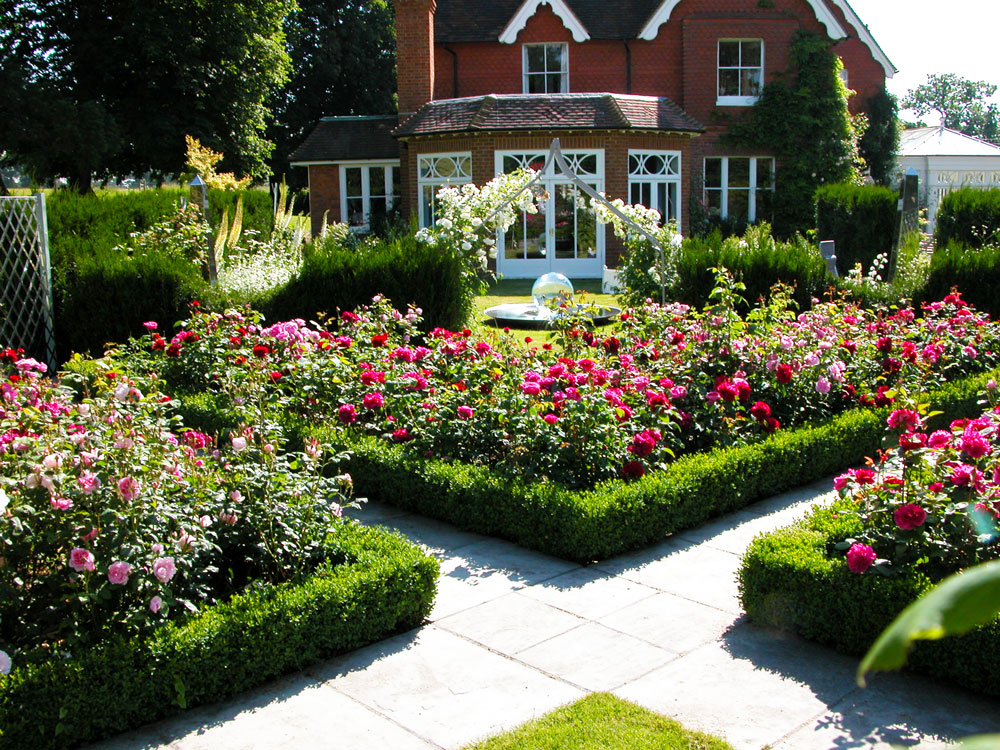 David Austin and the Chelsea Flower Show